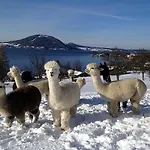 Atterseeperle - 80m2 Mit See- Und Gebirgsblick Steinbach am Attersee