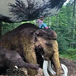 Atterseeperle - 80m2 Mit See- Und Gebirgsblick *