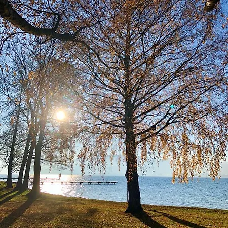 Atterseeperle - 80m2 Mit See- Und Gebirgsblick Steinbach am Attersee