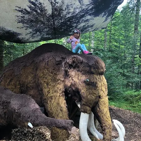 Atterseeperle - 80m2 Mit See- Und Gebirgsblick *