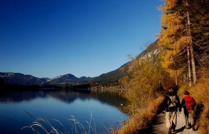 Daire Atterseeperle - 80m2 Mit See- Und Gebirgsblick Steinbach am Attersee