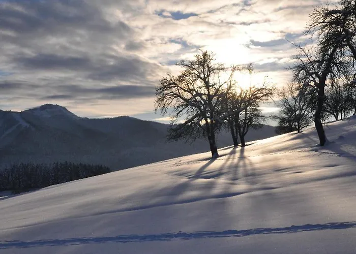 Atterseeperle - 80m2 Mit See- Und Gebirgsblick シュタインバッハ・アム・アターゼー