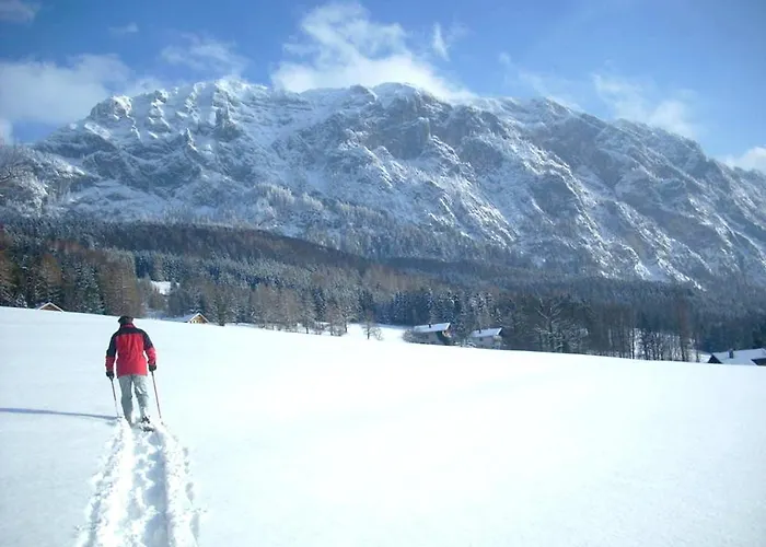 Apartment Atterseeperle - 80m2 Mit See- Und Gebirgsblick Steinbach am Attersee