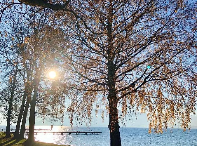 Atterseeperle - 80m2 Mit See- Und Gebirgsblick Steinbach am Attersee