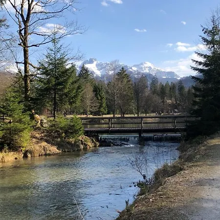 Atterseeperle - 80m2 Mit See- Und Gebirgsblick Appartement