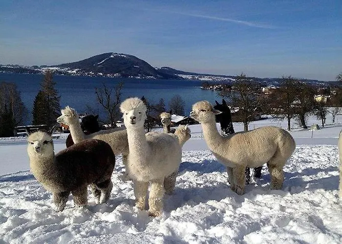 Atterseeperle - 80m2 Mit See- Und Gebirgsblick שטיינבאך אם אטרזי