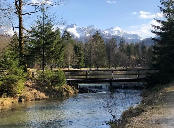 Atterseeperle - 80m2 Mit See- Und Gebirgsblick Διαμέρισμα